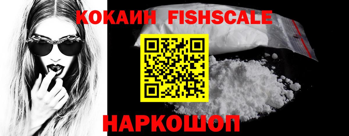 Кокаин Эквадор  Горно-Алтайск  купить наркотик  COCAIN FishScale 