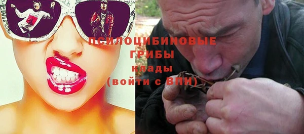 apvp Балабаново
