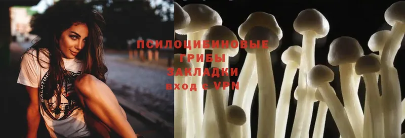 OMG сайт  где купить наркотик  Горно-Алтайск  Псилоцибиновые грибы Magic Shrooms 