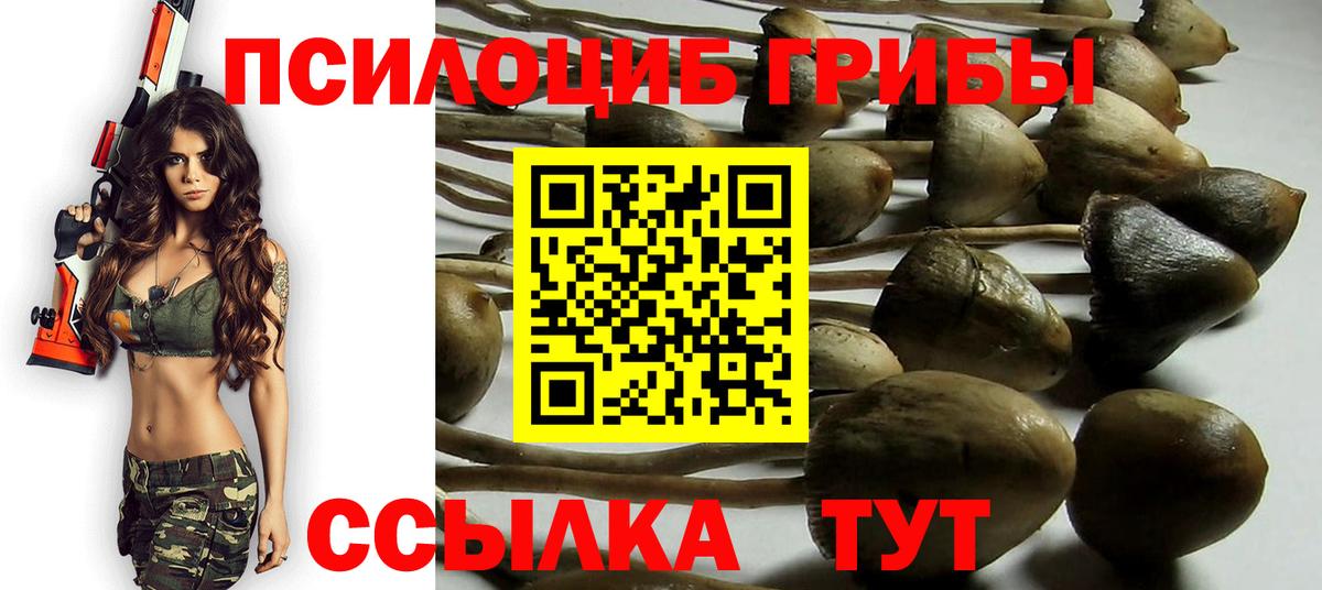 Псилоцибиновые грибы мухоморы  цена   Горно-Алтайск 