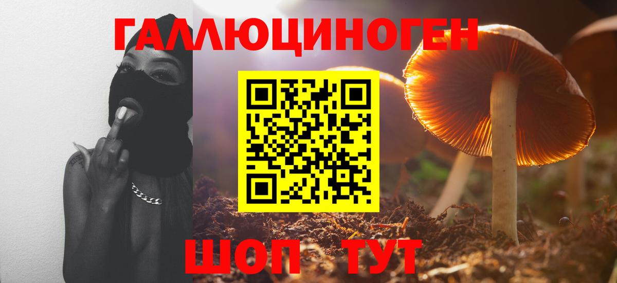 Горно-Алтайск  Псилоцибиновые грибы ЛСД  Вход с VPN 