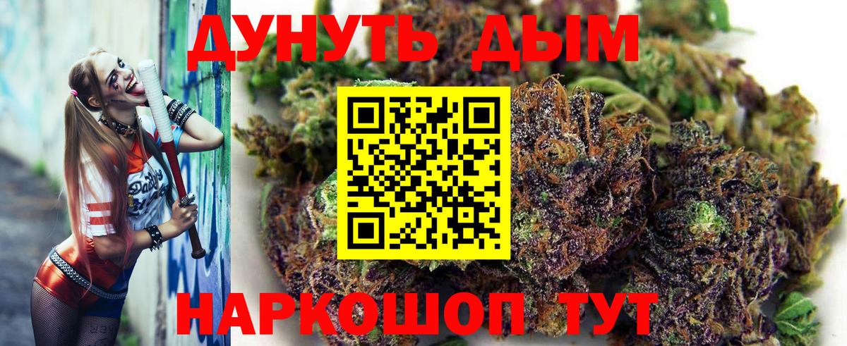 Бошки марихуана тримм  Вход с VPN  Конопля конопля  Горно-Алтайск 